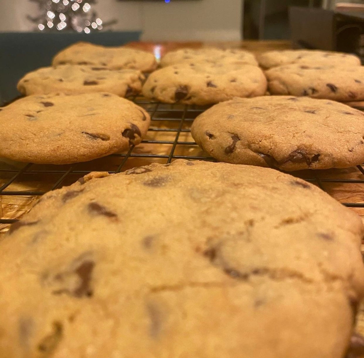 Chocolate Chip Cookies - single cookie (NOT VEGAN)